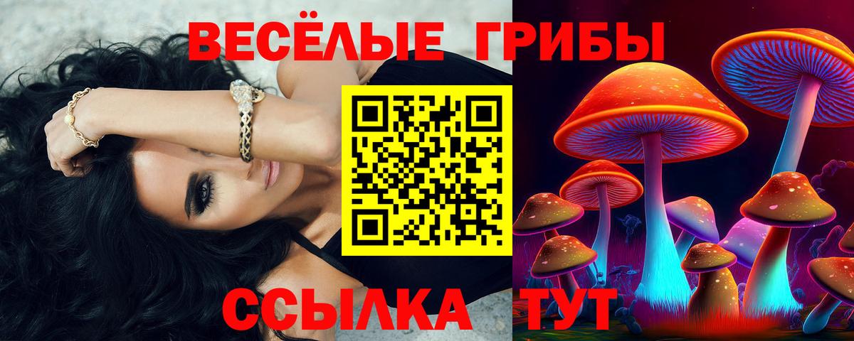 Псилоцибиновые грибы мицелий  Галлюциногенные грибы MAGIC MUSHROOMS  Нерюнгри  Вход с VPN 